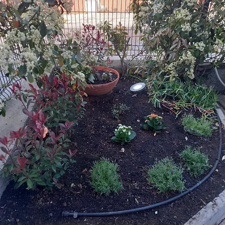 La Casa Di Piccoli' Di Gabriele Martelli E Catia Pacetti - Ape