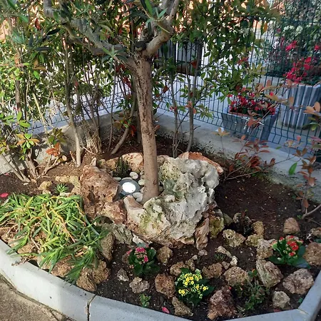 La Casa Di Piccoli' Di Gabriele Martelli E Catia Pacetti - Ape *